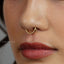 Double Lined Septum Ring, Nose Ring, Hoop Earring, 16ga, 8 or 10mm, Unisex, G23 Titanium SHEMISLI SH406, SH407