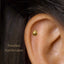 Dainty Beetle Threadless Flat Back Earrings, Nose Stud, 20,18,16ga, 5-10mm, Surgical Steel, SHEMISLI SS574