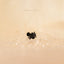 Tiny Spider Threadless Flat Back Nose Stud, 20,18,16ga, 5-10mm, Surgical Steel, SHEMISLI SS561