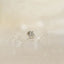 Dainty Beetle Threadless Flat Back Nose Stud, 20,18,16ga, 5-10mm, Surgical Steel, SHEMISLI SS574