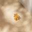 Tiny Star Threadless Flat Back Nose Stud, 20,18,16ga, 5-10mm, Surgical Steel, SHEMISLI SS567