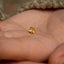 a person&#39;s hand holding a tiny gold flower