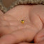 a person holding a tiny gold object in their hand