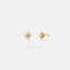 Tiny Star CZ Studs, Unisex, Gold, Silver SHEMISLI SS260