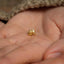 a tiny gold elephant charm on someone&#39;s hand