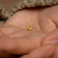 a person&#39;s hand holding a tiny gold flower