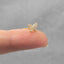 Tiny Paved CZ Butterfly Studs Earrings, Gold, Silver SHEMISLI - SS338