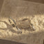 Marquise White CZ Drop Hoop Earrings, Huggies, Gold, Silver SHEMISLI SH594